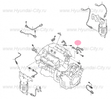 Проводка двигателя Hyundai Santa Fe II