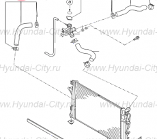 Патрубок радиатора нижний Hyundai Elantra VI
