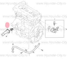 Крышка термостата Hyundai Elantra VI