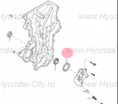 Ротор масляного насоса 1.6 Hyundai Elantra VI