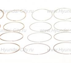 Комплект поршневых колец (12 шт) g4kd Hyundai ix35