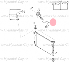 Патрубок радиатора верхний 1.6 Hyundai Creta