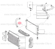 Патрубок радиатора нижний 1.4 Hyundai Solaris II