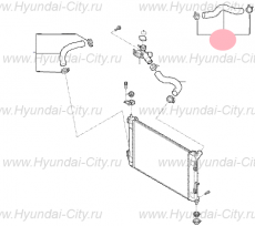 Патрубок радиатора верхний (от разветвителя) Hyundai Creta