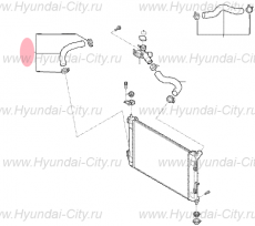 Патрубок радиатора нижний 1.6 Hyundai Creta