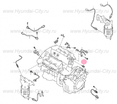 Датчик температуры масла Hyundai Equus
